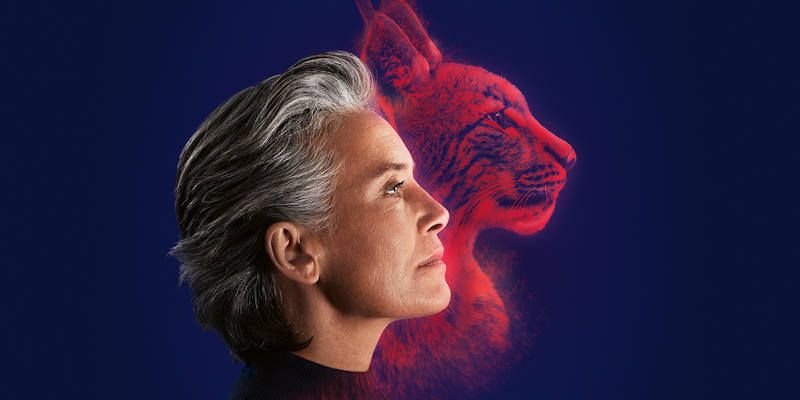 Audífonos Alpha: tecnología híbrida de audífonos en Coslada y Torrejón: SonoClinic